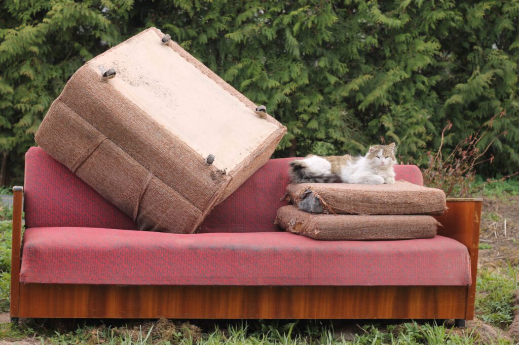 Home 6 old sofa placed out side